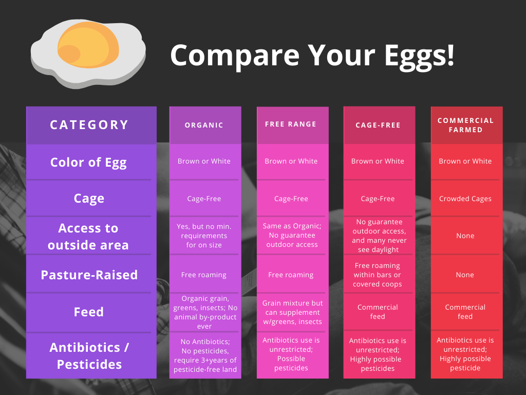 eggchart