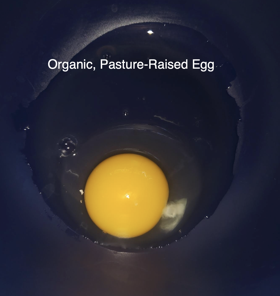 organic pasture egg